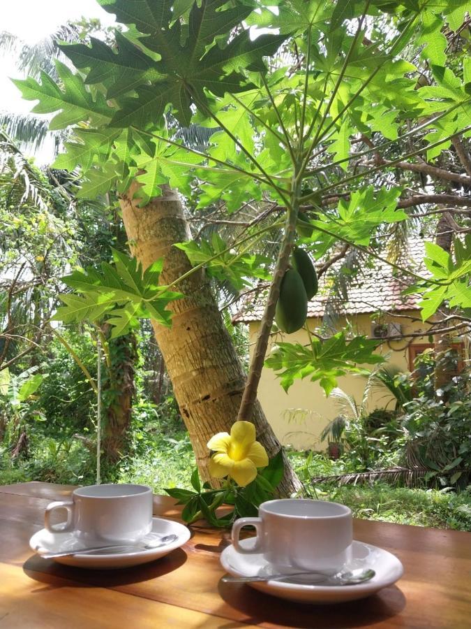 Phu Quoc Pomelo Gardenアパートメント エクステリア 写真