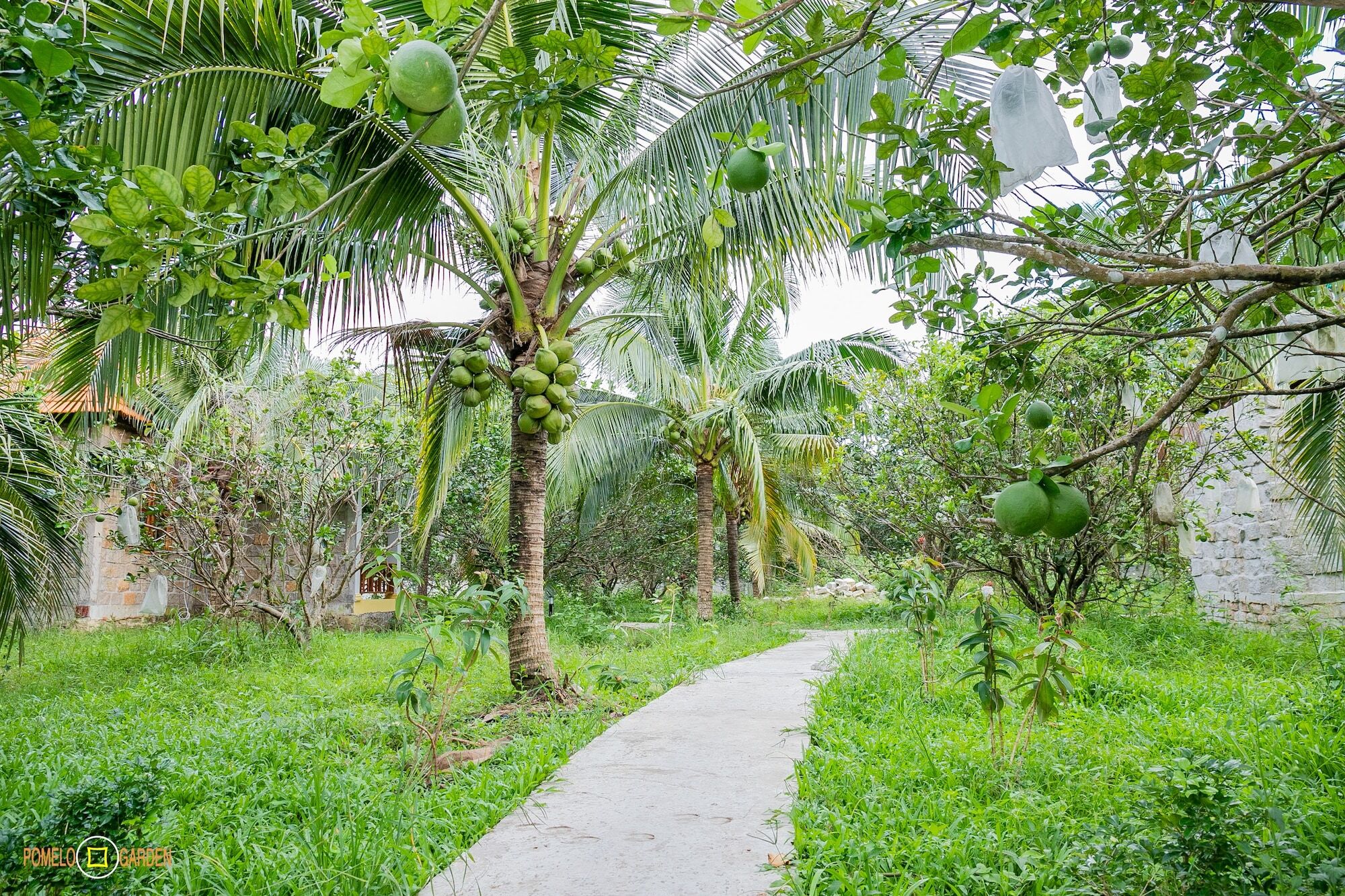 Phu Quoc Pomelo Gardenアパートメント エクステリア 写真