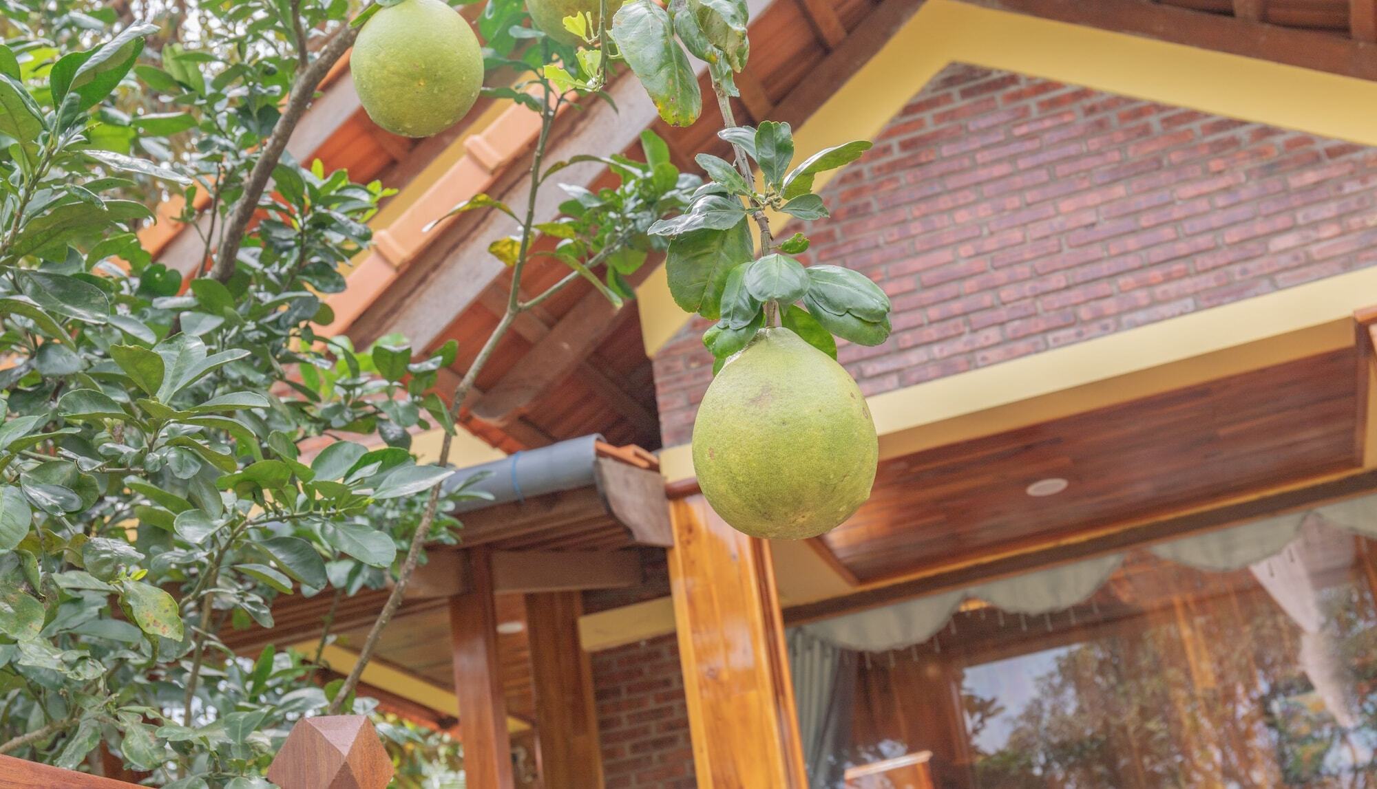 Phu Quoc Pomelo Gardenアパートメント エクステリア 写真